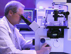 Manipulation génétique pour retarder Alzheimer ? - Source de l'image: http://www.internethaber.com/