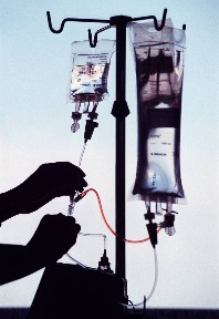 Québec : relance du débat sur l’euthanasie - Source de l'Image : http://jphmtl4141.files.wordpress.com/2008/09/euthanasie.jpg