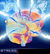 Alzheimer : le stress à nouveau mis en cause - Source de l'image : http://www.health-news-blog.com
